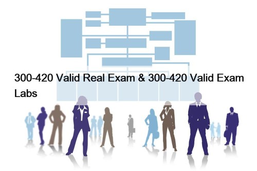 300-420 Valid Real Exam & 300-420 Valid Exam Labs