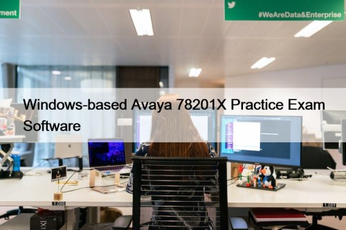 Windows-based Avaya 78201X Practice Exam Software